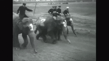 Vintage Race GIF by US National Archives