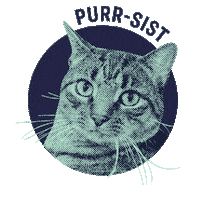 Persist Senator Warren Sticker by Elizabeth Warren