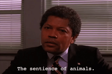 season 2 GIF by Twin Peaks on Showtime