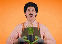 Happy Tonight Show GIF by The Tonight Show Starring Jimmy Fallon