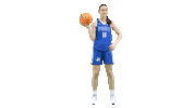 Sport Basketball Sticker by Basket_fi