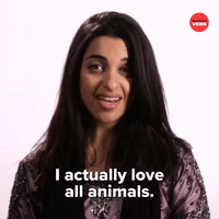 I Love All Animals
