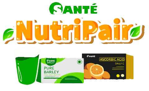 Sante Santebarley Sticker by Sunday Elephant Creatives