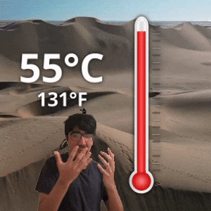 55 °C