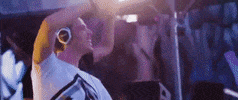 w&w dance GIF by Neverland Festival