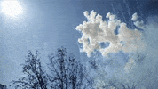 fireworks valencia GIF by For 91 Days