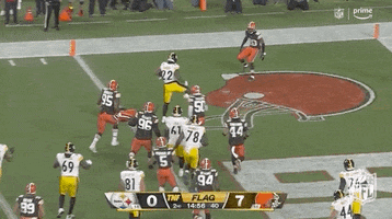 Pittsburgh Steelers Football GIF by NFL