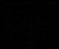 DallastownAreaSchoolDistrict dasd wildcat dtown wildcatnation GIF