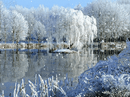 winter landscape GIF