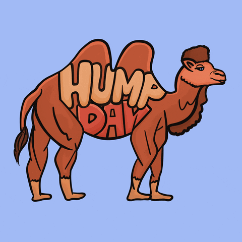 Wednesday Morning GIF by JellaCreative