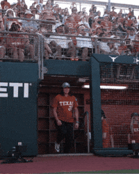 Softball GIF by Texas Longhorns