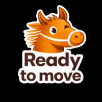 nuvallo horse supplement horse cute nuvallo move ready to move GIF