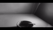cigarette smoking GIF