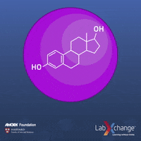 labxchange science biology cell nucleus GIF
