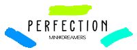 Perfection Sticker by Mini Dreamers
