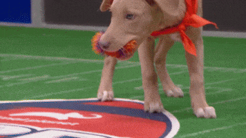 ToUcHdOwN!!!