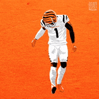 Cincinnati Bengals Football GIF