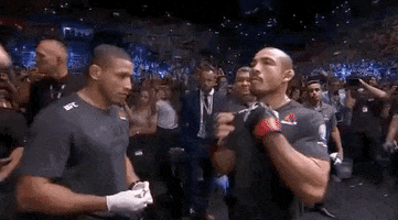 ufc sports sport ufc mma GIF