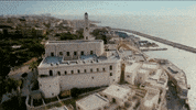 Palestine Gifsforants GIF
