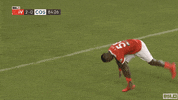 soccer celebration GIF by USL