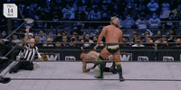 Aew On Tnt GIF by All Elite Wrestling on TV