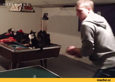 high five GIF