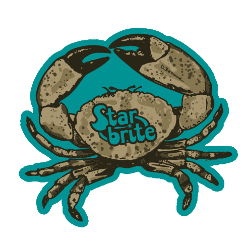 Ocean Fishing Sticker by Star brite