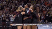 Texas Am Volleyball GIF by Texas A&M Athletics