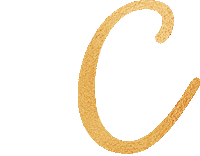 Studio Dc Sticker by Pole & Aerial Divas