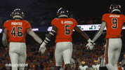 Rams Football Csurams GIF by Colorado State Rams