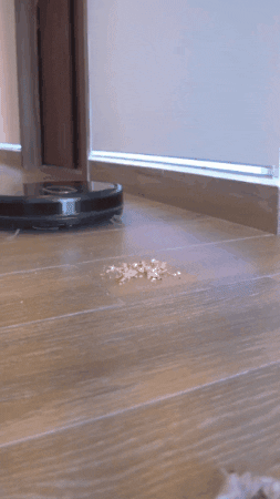 stoicoral giphygifmaker GIF