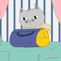 cat dog GIF by Animation Domination High-Def