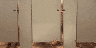 Poop GIF by Poo~Pourri