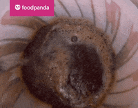 Hungry Fun GIF by foodpanda