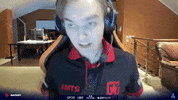 Gambit Winning GIF by BLAST