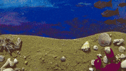 Art Earth GIF by NASA
