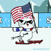 Olympic Games Cat GIF by Silly Kitties