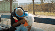 The Pack Dogs GIF by Amazon Prime Video