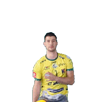 Ball Volleyball Sticker by Aluron CMC Warta Zawiercie