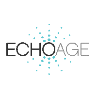 echoage birthday charity birthday charity echoage Sticker