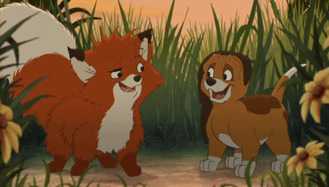 fox GIF