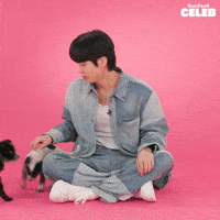 K Pop Puppy GIF by BuzzFeed