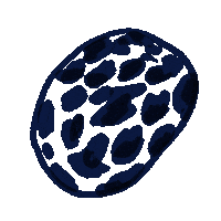 Cow Morphing Sticker