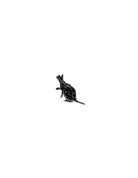 cat GIF by Pisaller