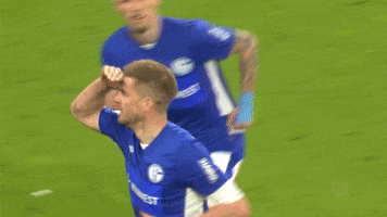 Football Sport GIF by FC Schalke 04