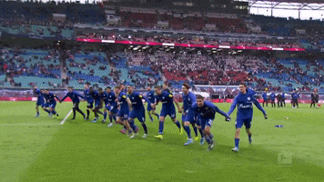 Happy Football GIF by FC Schalke 04