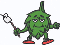 avngebrewing beer hop craft beer hops GIF