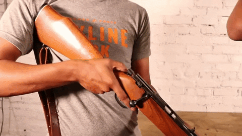 AvantYouth giphyupload firearms 2a 2nd amendment GIF