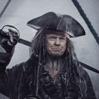 Donald Trump GIF
