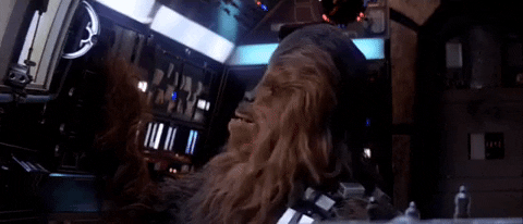 the empire strikes back chewie GIF by Star Wars
